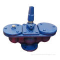 Cast Iron Flanged Ends Double Orifice Standard Air Valve